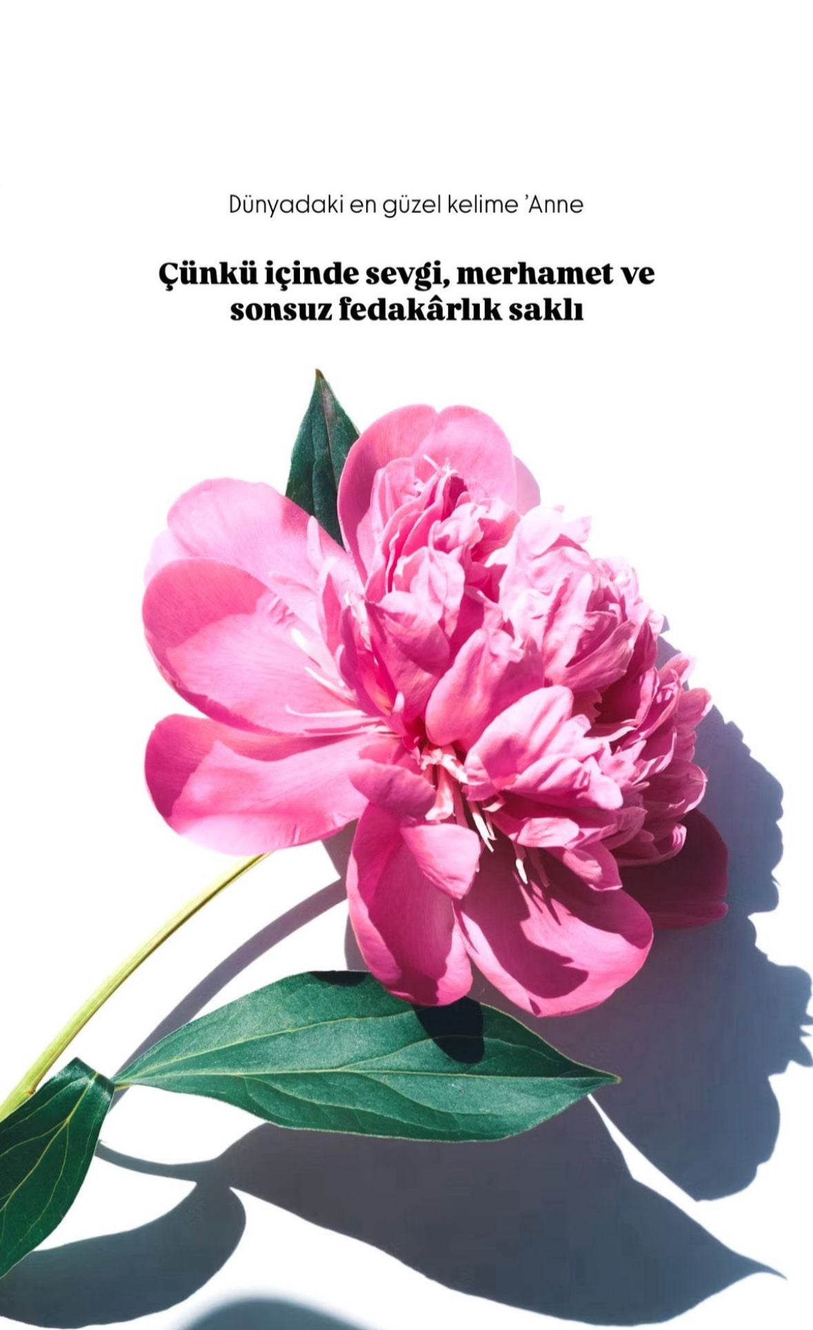 Personalisierte Spruch Bilder #00-5