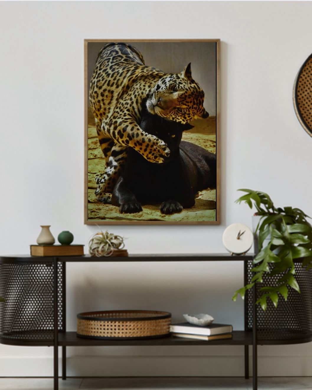 Leopard & Schwarzer Panther - Bild